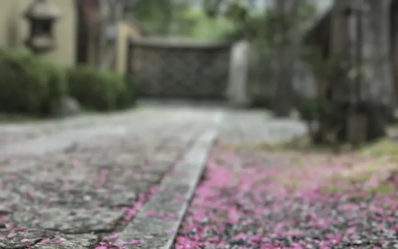 黄晓明辟谣和Angelababy（杨颖）离婚