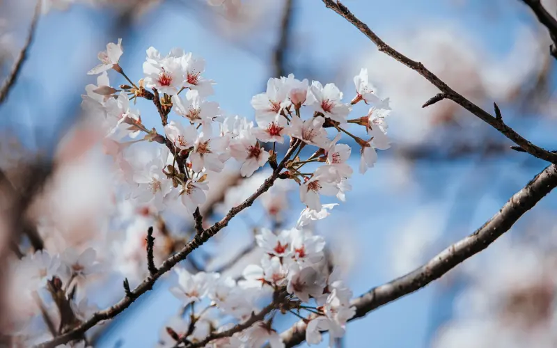花镇情感导师教您挽回男友三十六计