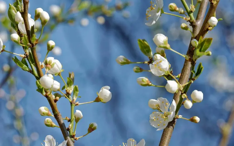 花镇情感咨询：吵架后如何挽回爱情