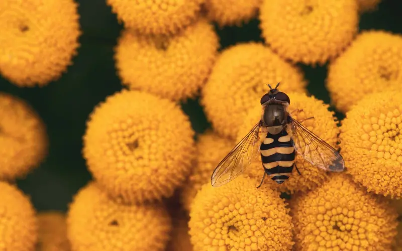 花镇情感咨询：主动单身者增多 婚姻真的可有可无吗