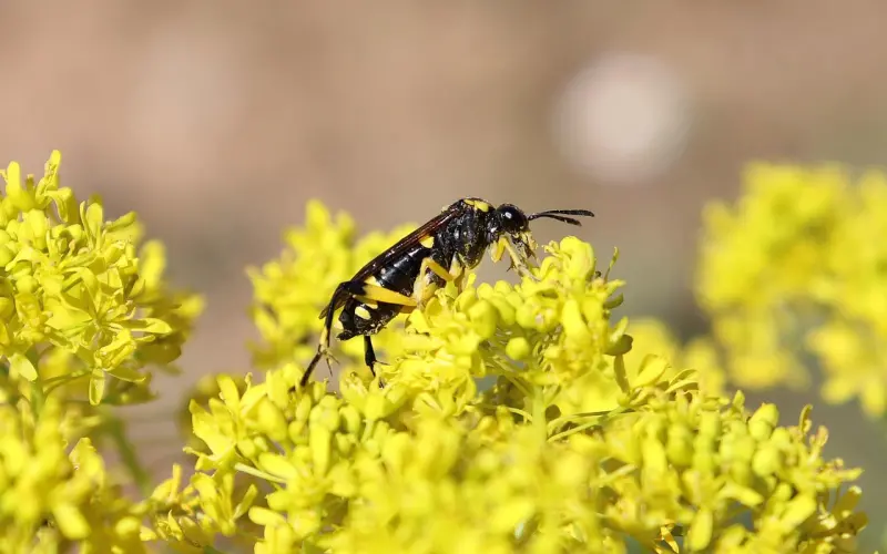 花镇情感咨询：如何挽回你的爱情