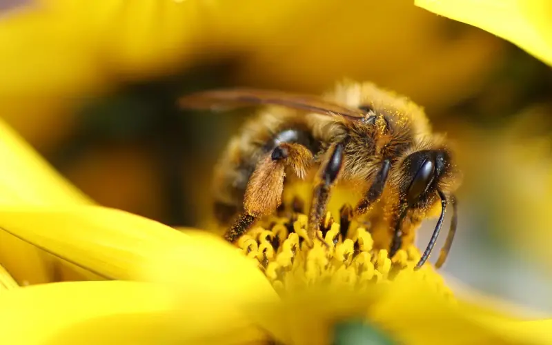 花镇挽回专家助你收获完美爱情