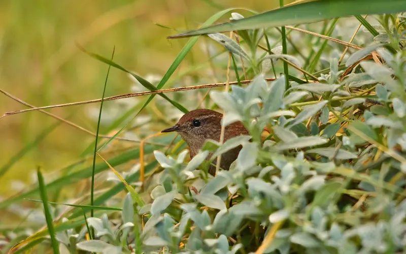 总是相亲失败，看完这篇才能相亲啪啪啪