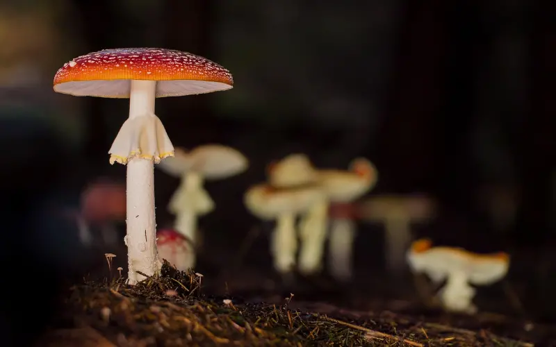 总觉得老公在敷衍我 是不在乎的表现吗？