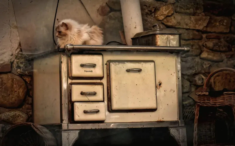 以前总是忽视了女朋友的感受，现在她要分手，我很害怕失去她我该怎么办