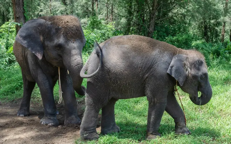 总是想翻对方手机，我该怎么办？
