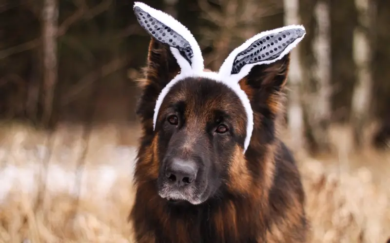 心情不好总想哭的说说，伤感虐心，看着看着就哭了！