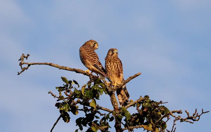 我176 你158 让着你的不是身高，是因为爱你