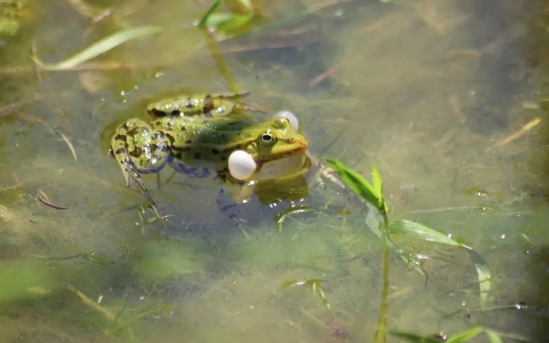 我是个好老公却还是要离婚了，挽回老婆怎么办？