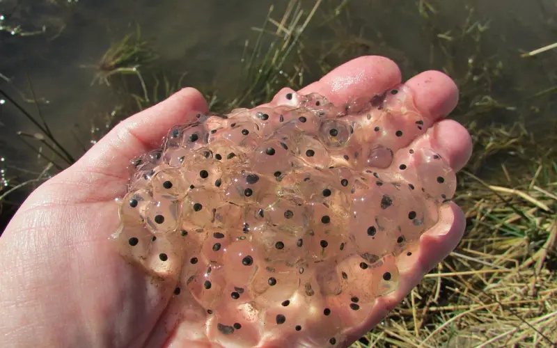 对老公提不起兴趣，并爱上了另一个男人，该如何抉择？