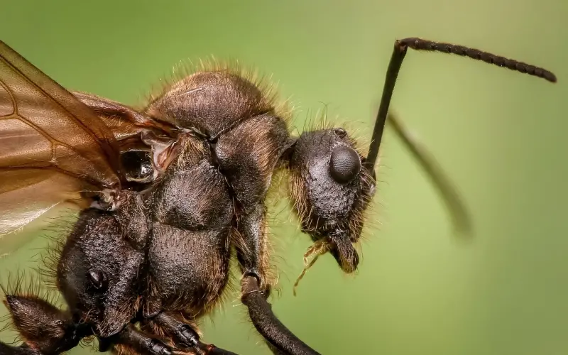 “我就是那个素颜一般，化妆好看的大龄小姐姐”