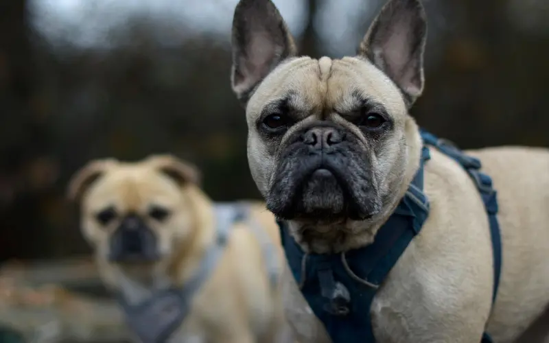 和男友吵架分手了，该怎么挽回