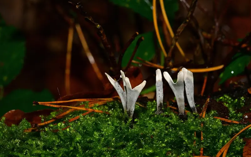 因为太喜欢粘人导致和男朋友分手，我该怎么去挽回他