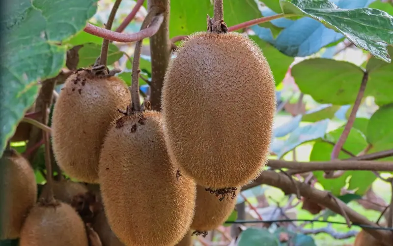 和男友说分手 是我还不够成熟吗