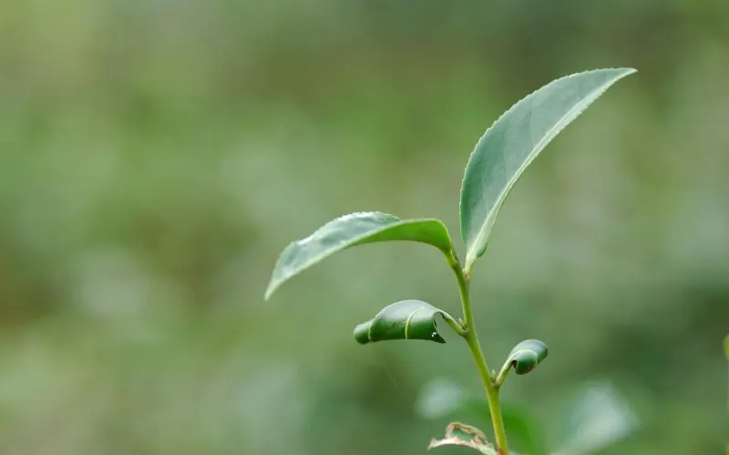 一心为女友最后还是分手，一招挽回女友