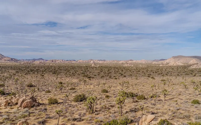 女生怎么约都约不出来，是不是我和她已经没戏了？