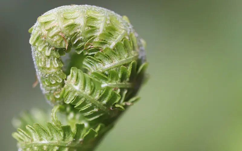 分手后一直放不下，该怎么挽回