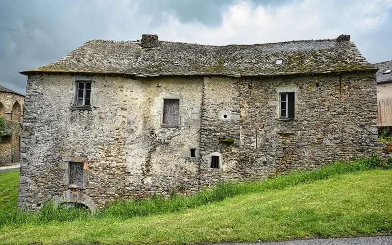 以前没得选，以后我想做个“绿茶婊”