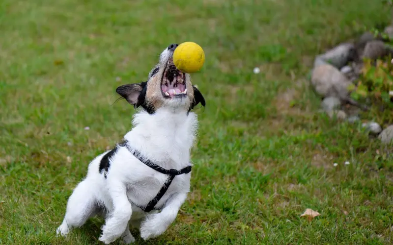 我没精力再失恋一次了
