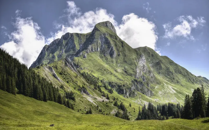 感觉老公出轨了，我该怎么办