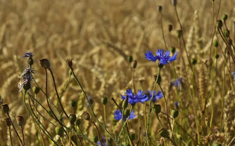 我发现老公在外面有小三，和他大吵大闹之后他还是死不悔改，我该怎么办