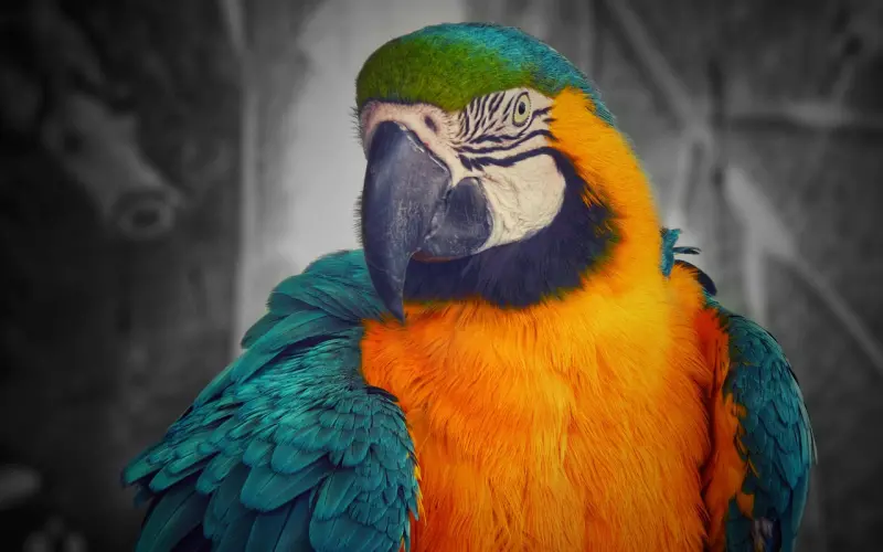 想到他和前女友的种种我就火大，这该怎么办？