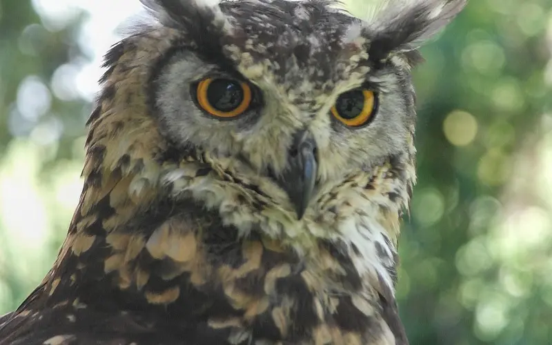 和老婆吵架冷战了，该怎么和好