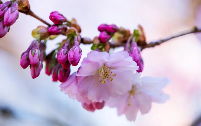 我有一个当着婆婆面嘘嘘的老公