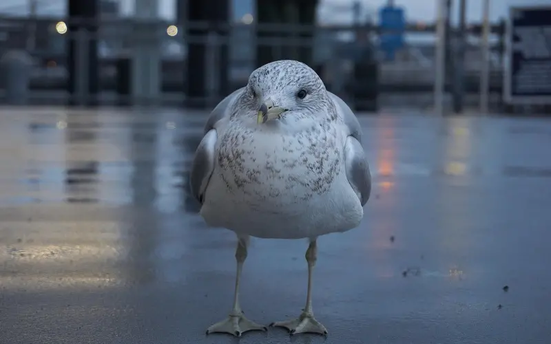 和女友在一起3年，她忽然说不爱我了，该怎么办