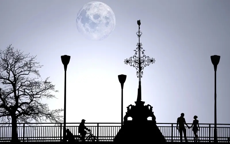 但愿我们在一起，是因为爱情