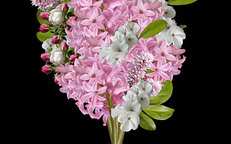 只是给她发了段祝福语音，为何她却拉黑了我？