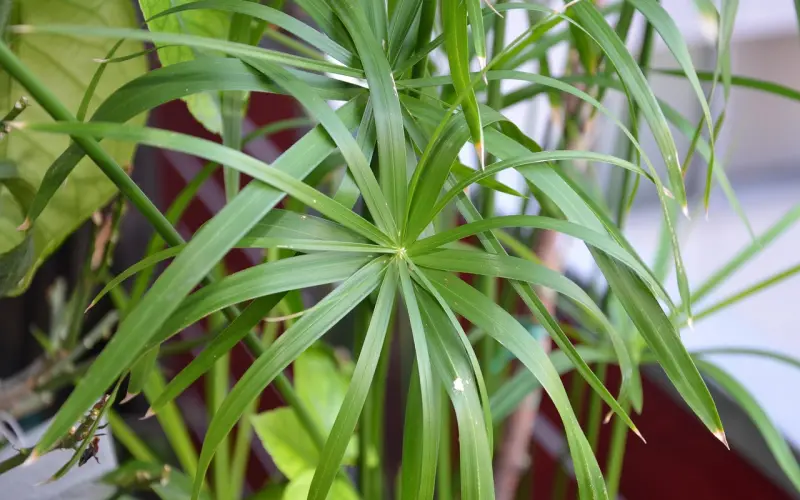 总是吵架但是不想分手，我该怎么办