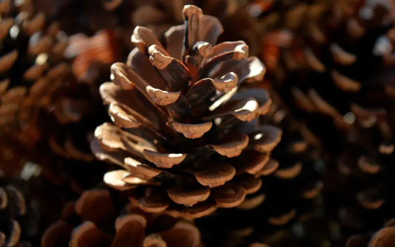 “我喜欢有钱的，不装B的男人，没达标的通通闪开！”