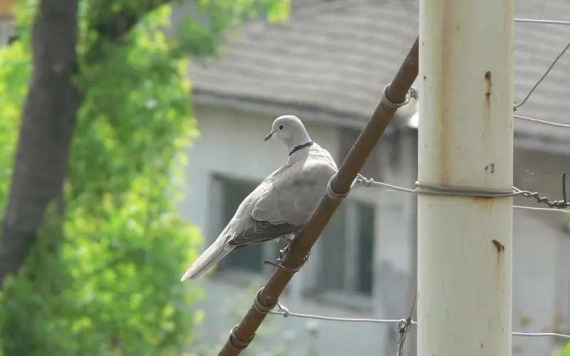 我爱你，与钱有关