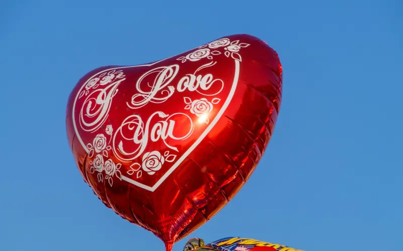 我爱你  所以我没办法离开你。