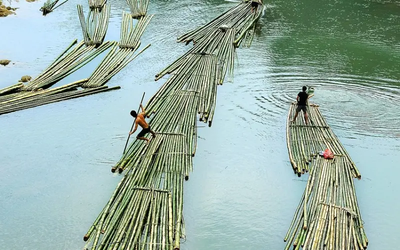 我想你，很想！看到这里的内容我流泪了……