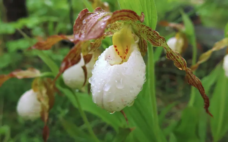 我欠世界一个男朋友