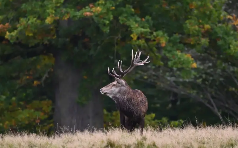 承诺爱你一辈子，为什么分手时毅然决然地离开？