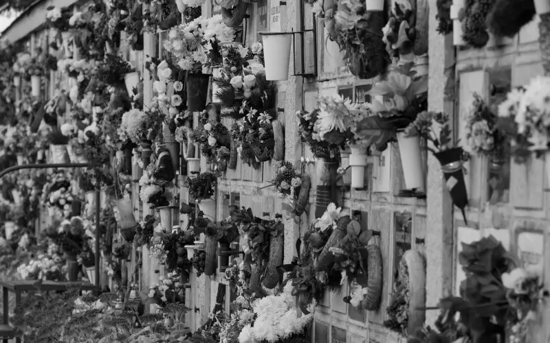 后悔把他删除怎么挽回