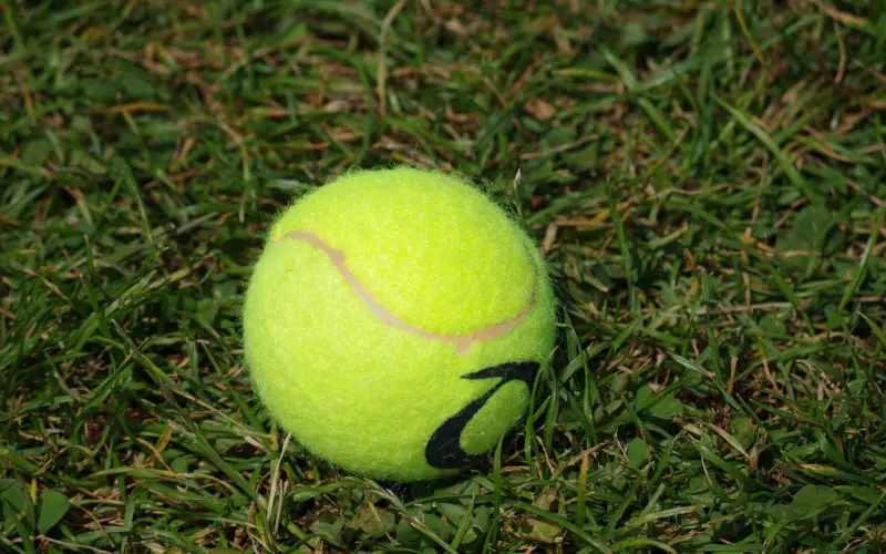 为他卖房治病，他却让我录音房子是他爸妈的...