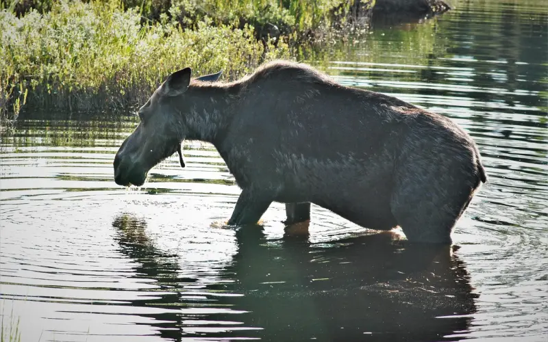 觉得谈恋爱是件可耻的事情，我该怎么办？
