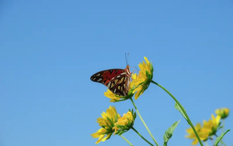 觉得男朋友没闺蜜的好 我要如何改变攀比心态