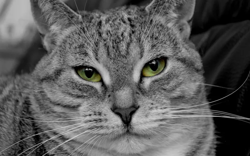 奔赴千里为网恋女友开店，同居1年发现：她已婚有2娃，我成了小三