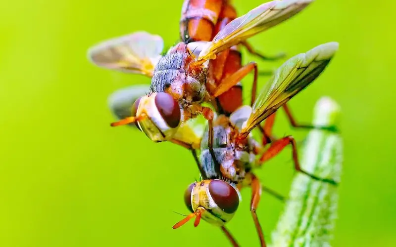 我对女朋友无微不至，她却越来越冷淡？