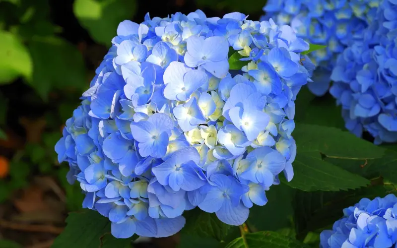 分手一个月不到我想和他复合，该怎么做？