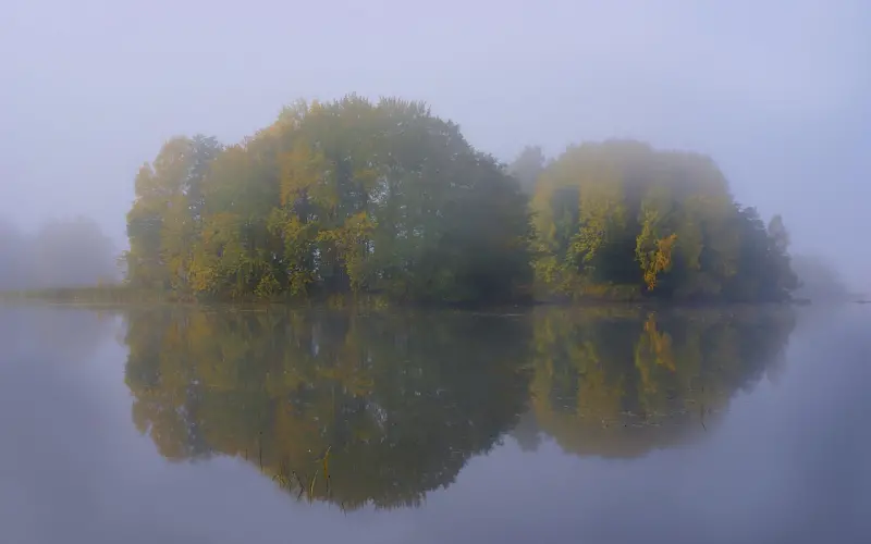 ”想要离婚又苦于经济不独立，我要如何做好职业规划？“