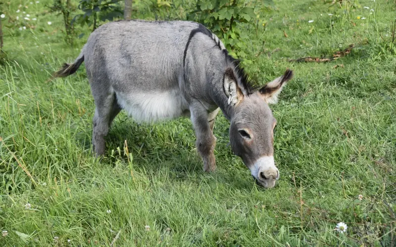 小时候被性侵 老公却让我选择原谅