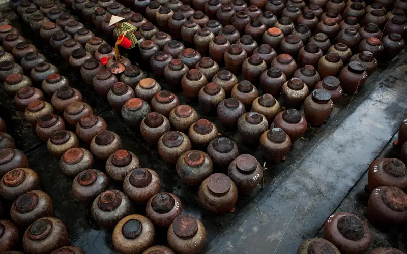 我终活成我想要的样子