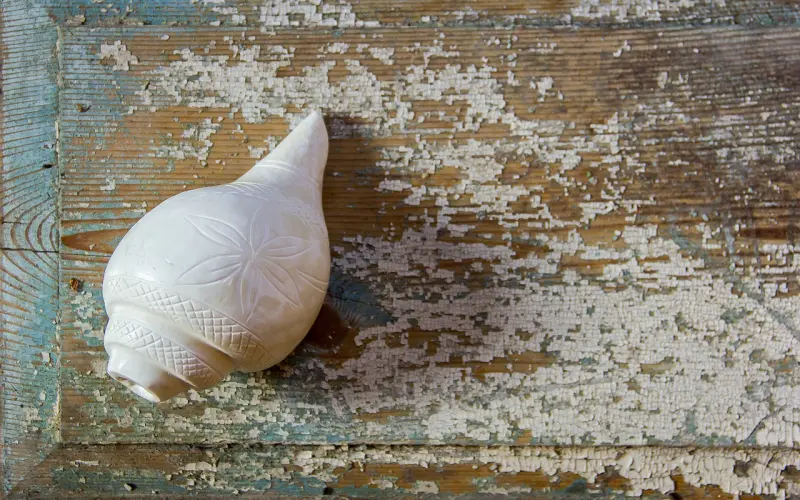 我会告诉你，好男友是“调教”出来的么！