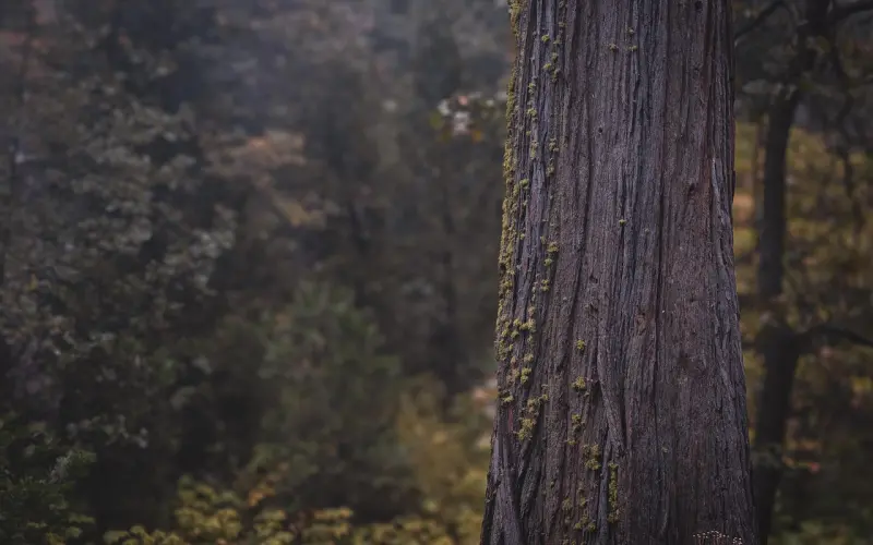 女生偷偷买单是拒绝你也可能是喜欢你，一招轻松判断